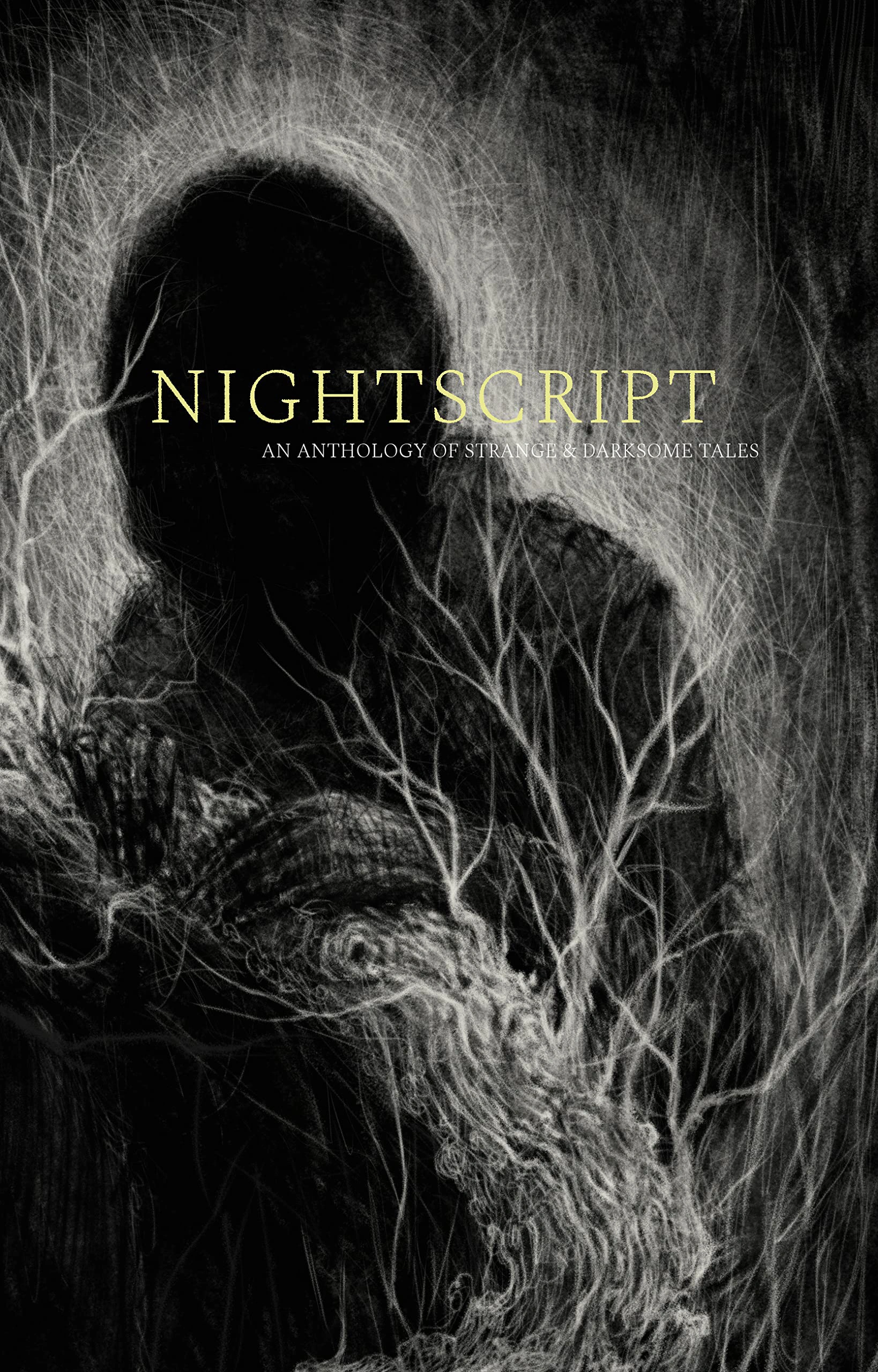 Cover of Nightscript : Volume 8
