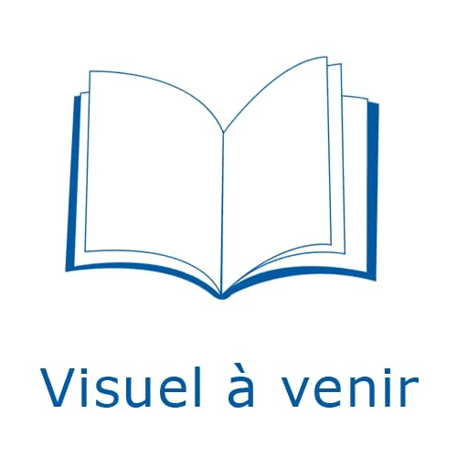 Cover of Indécente initiation