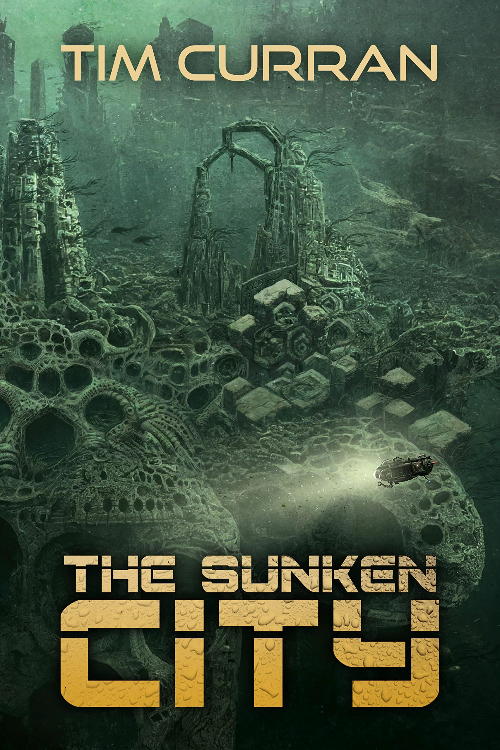 Cover of The Sunken City