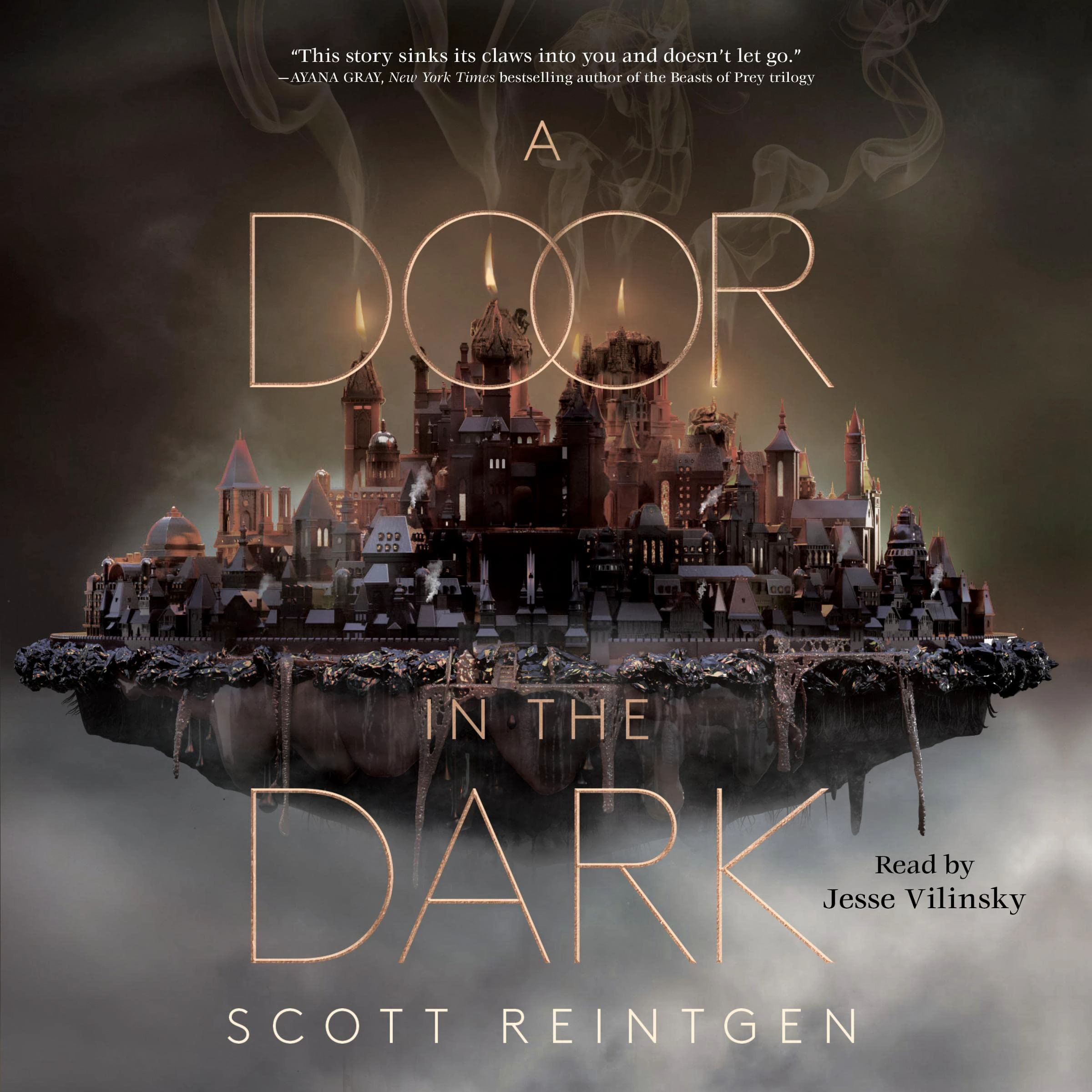 Cover of A Door in the Dark
