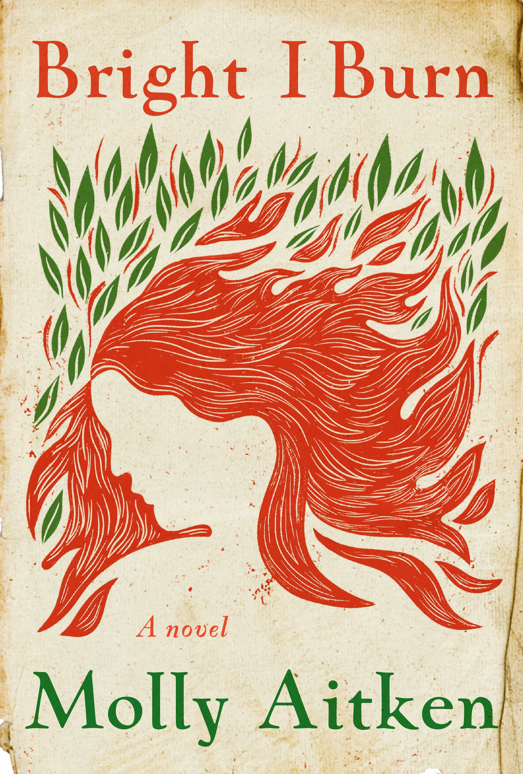 Cover of Bright I Burn: A Novel