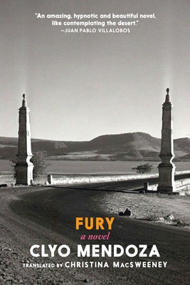 Cover of Fury: A Novel