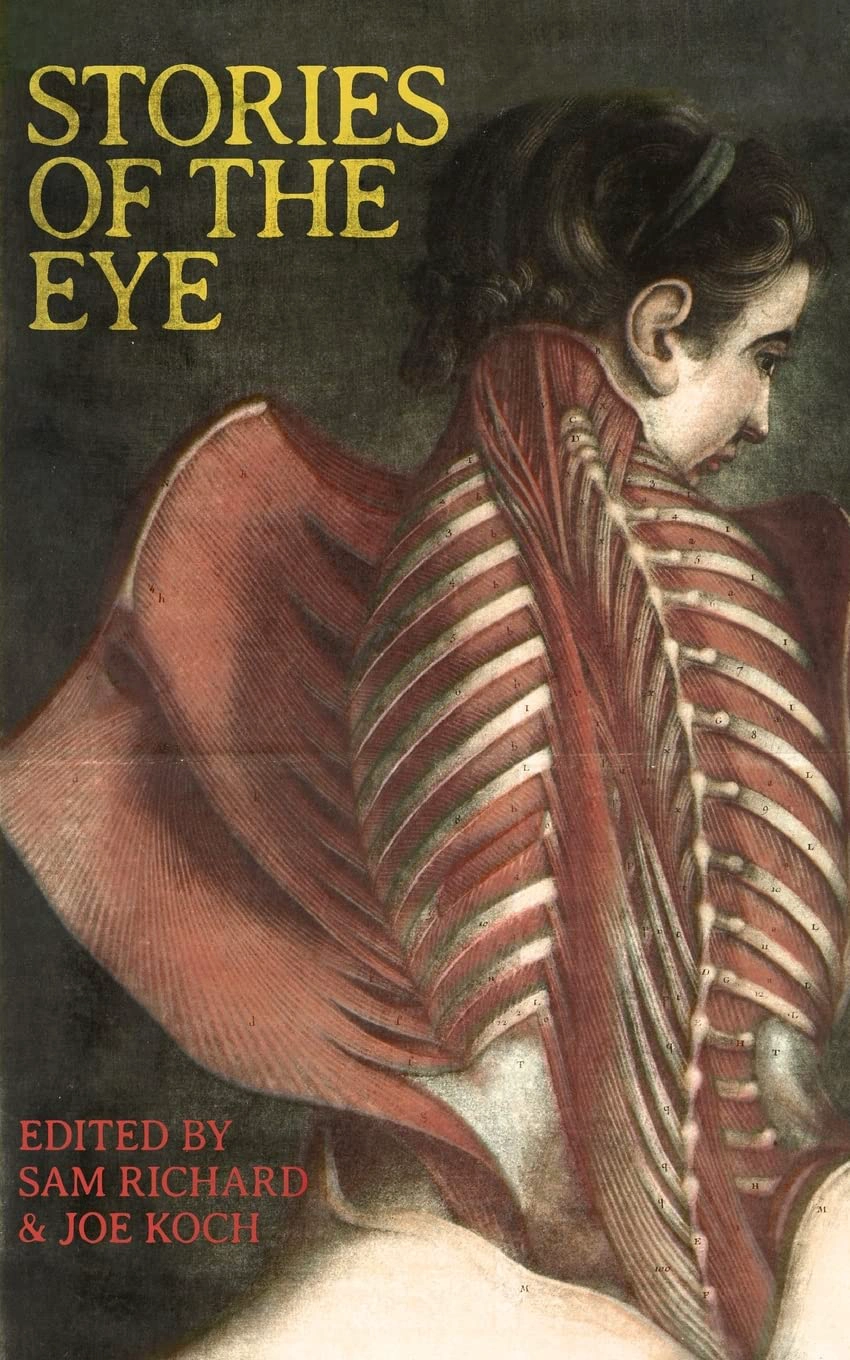 Cover of Stories of the Eye