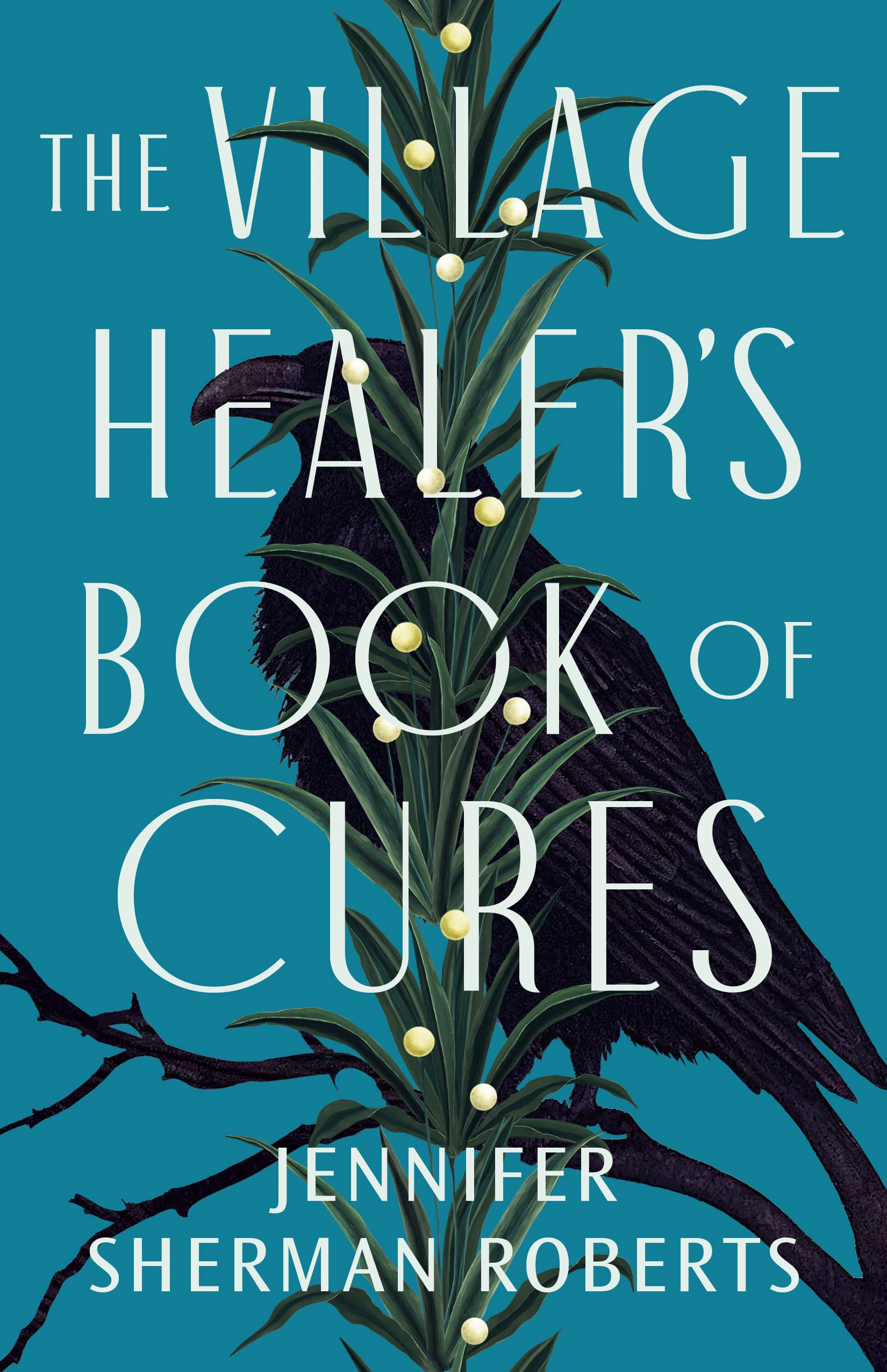 Cover of The Village Healer’s Book of Cures