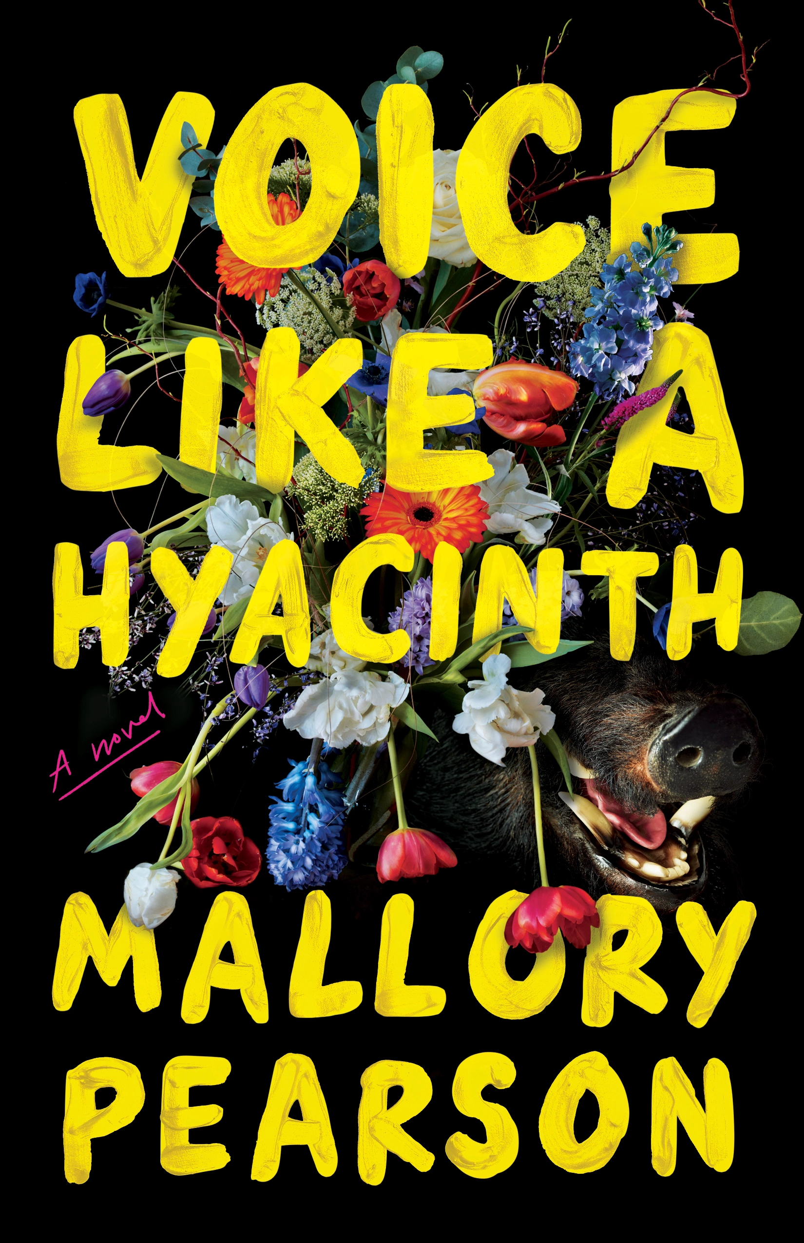 Cover of Voice Like a Hyacinth