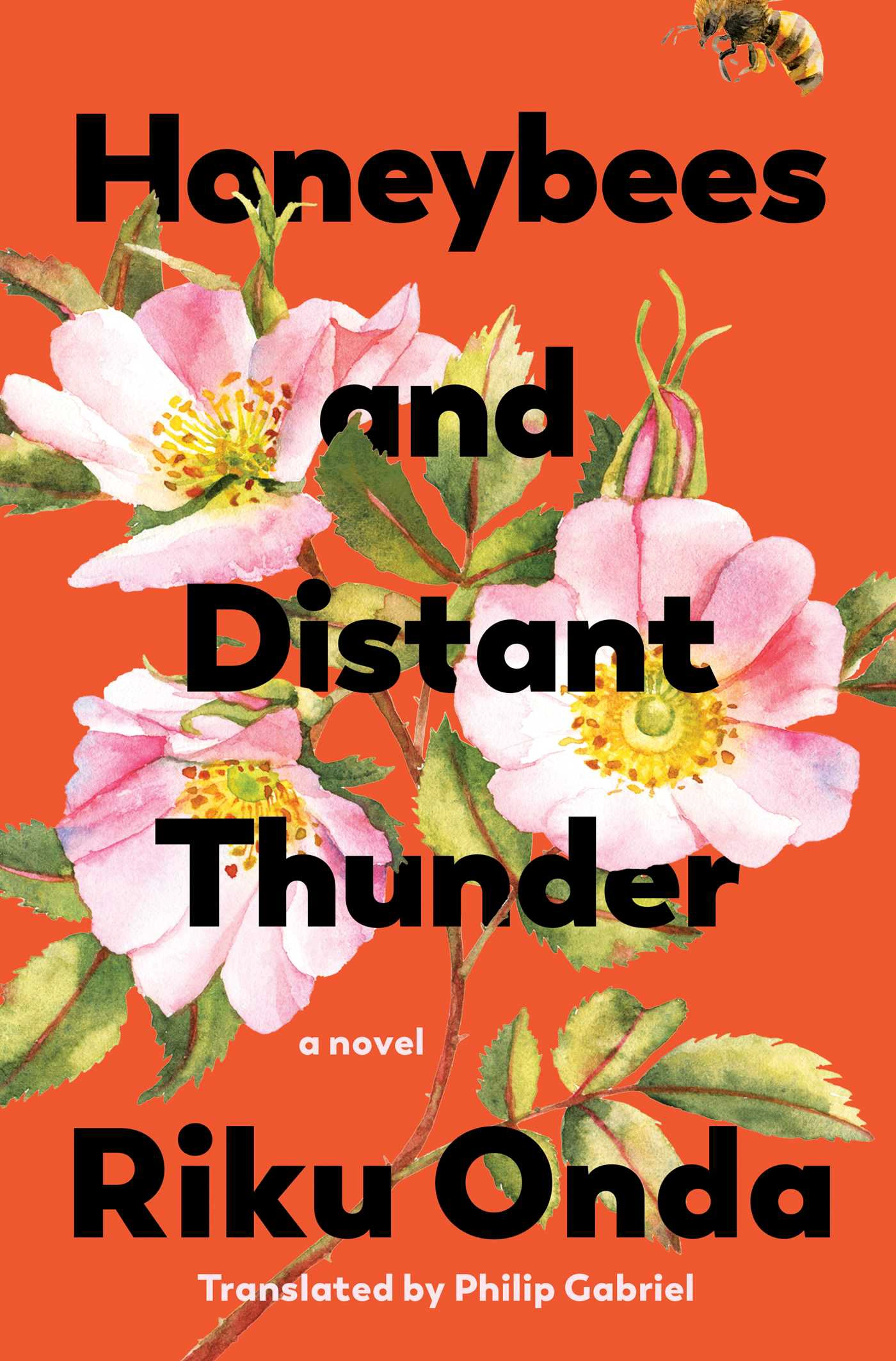 Cover of Honeybees and Distant Thunder