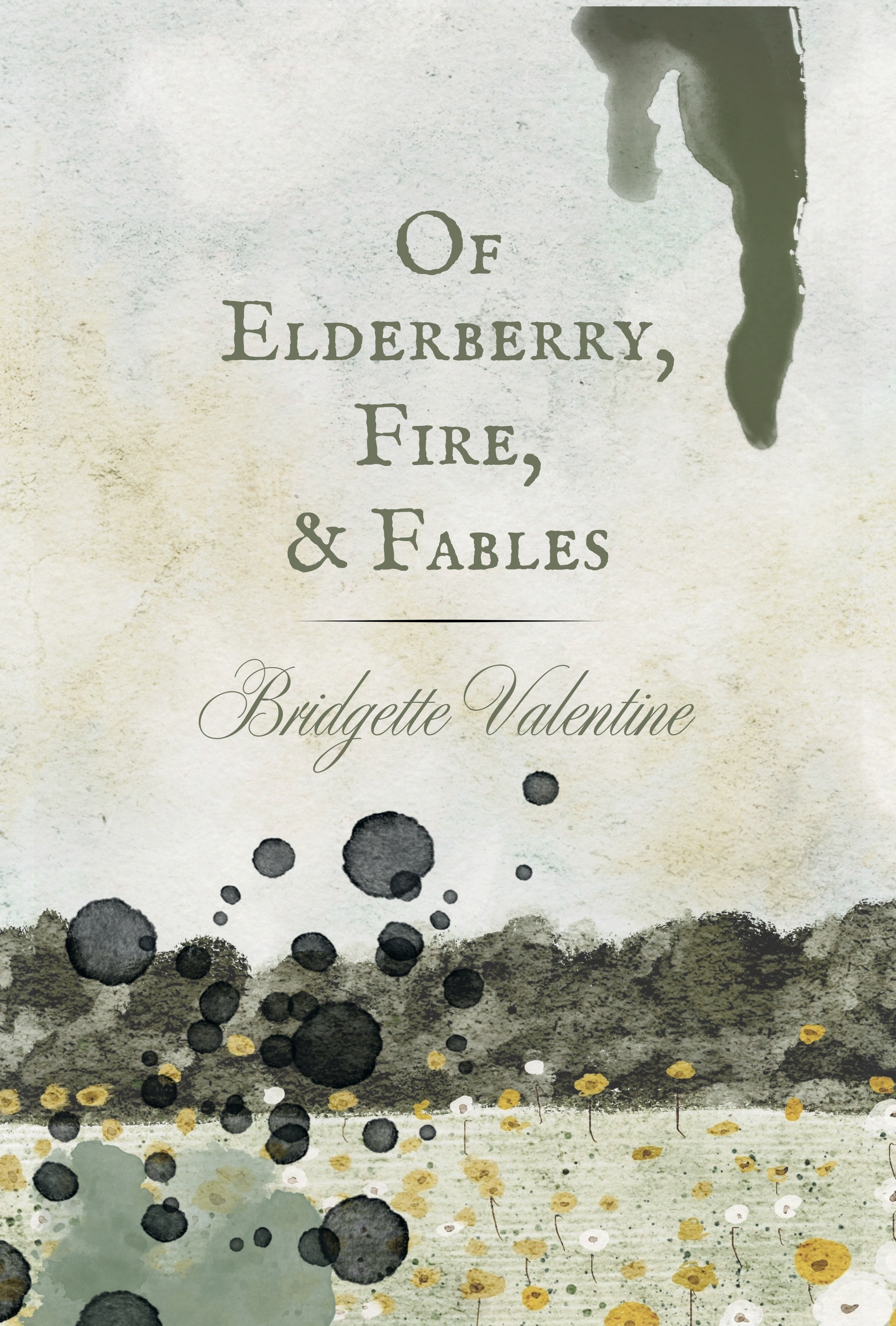 Cover of Of Elderberry, Fire, & Fables