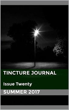 Cover of Tincture Journal Issue Twenty