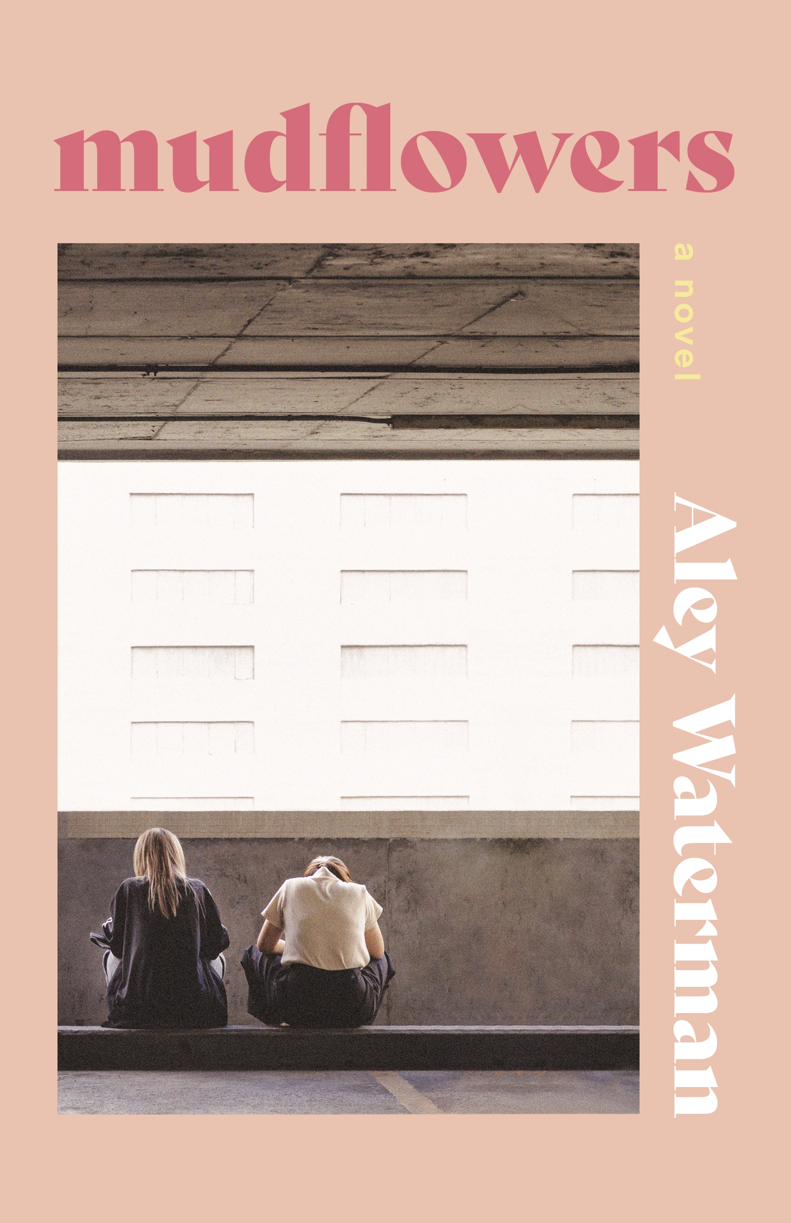 Cover of Mudflowers