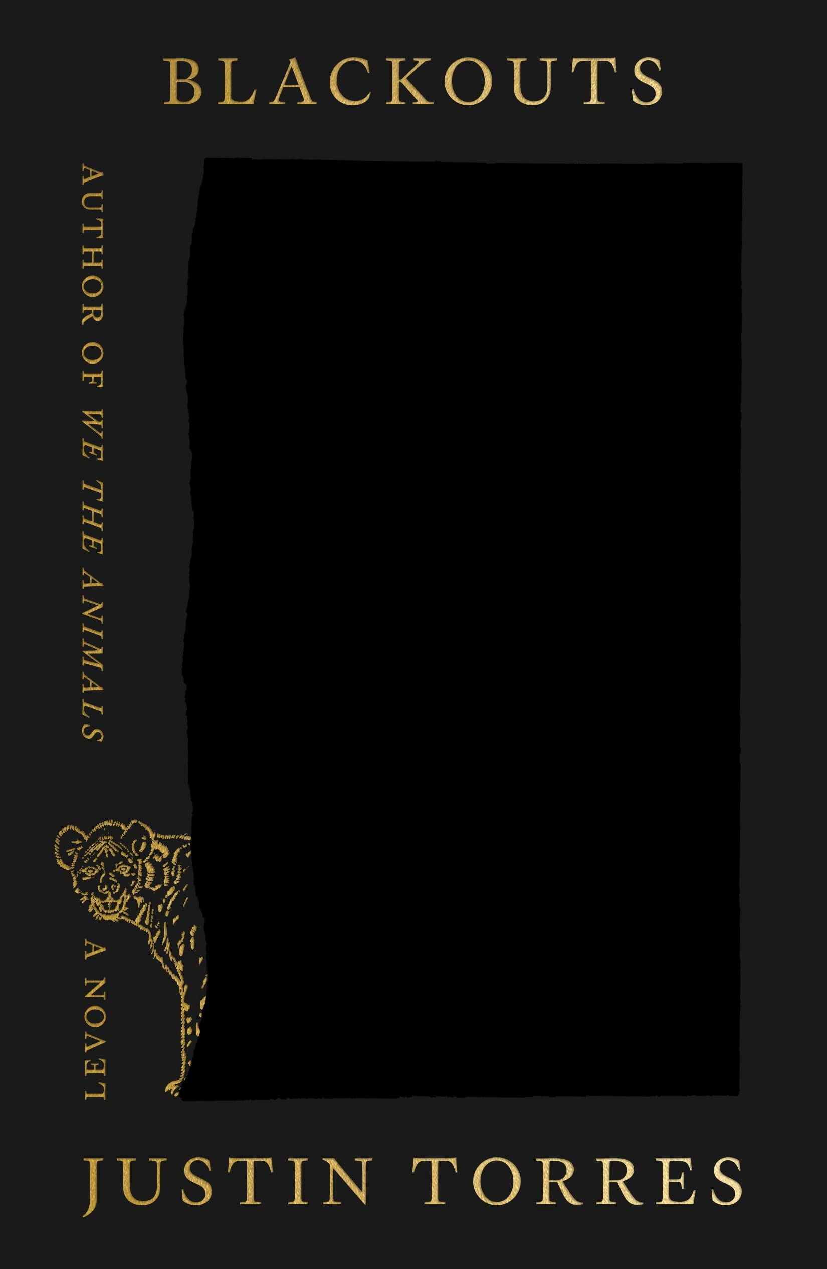 Cover of Blackouts