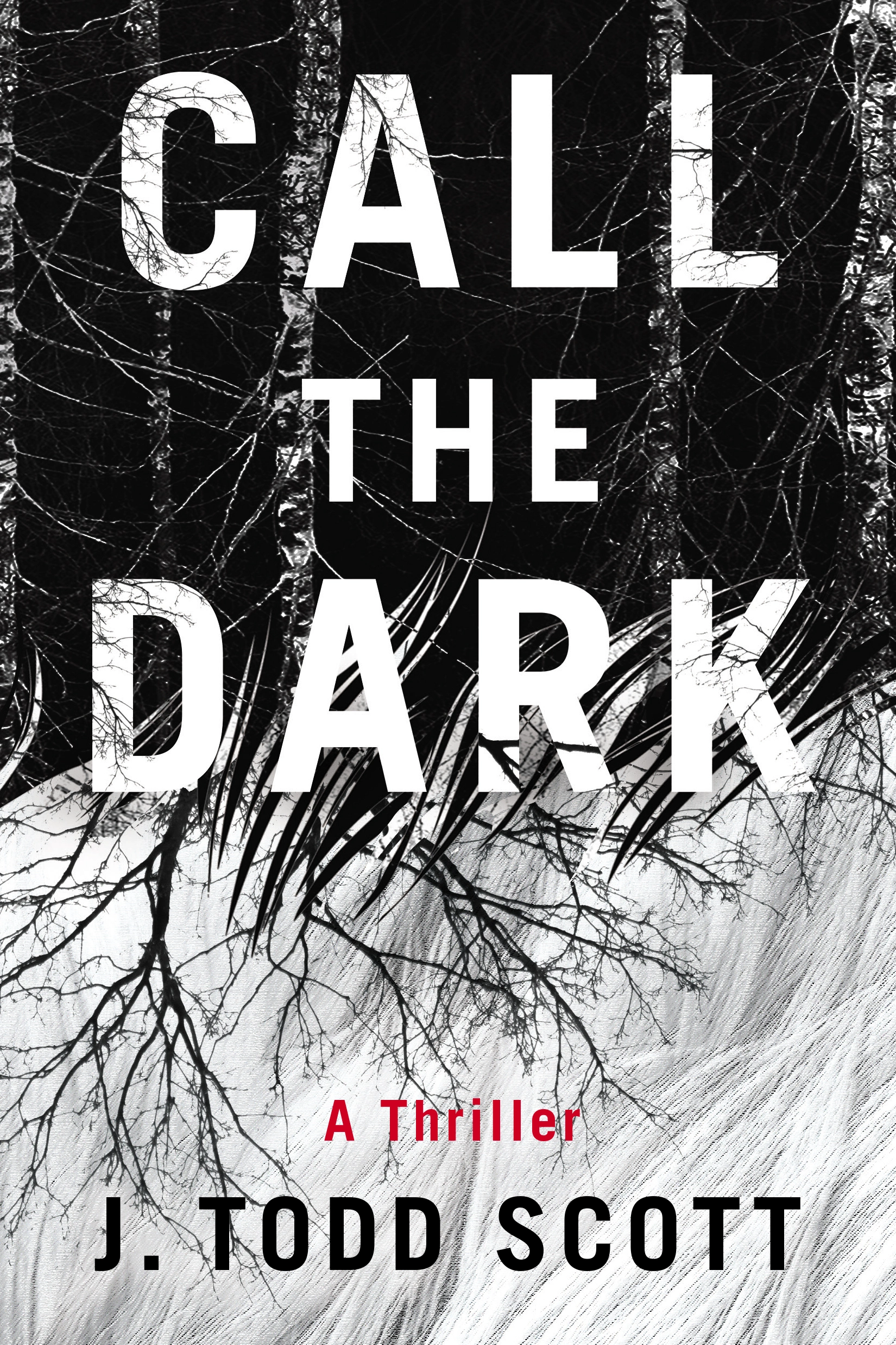 Cover of Call the Dark