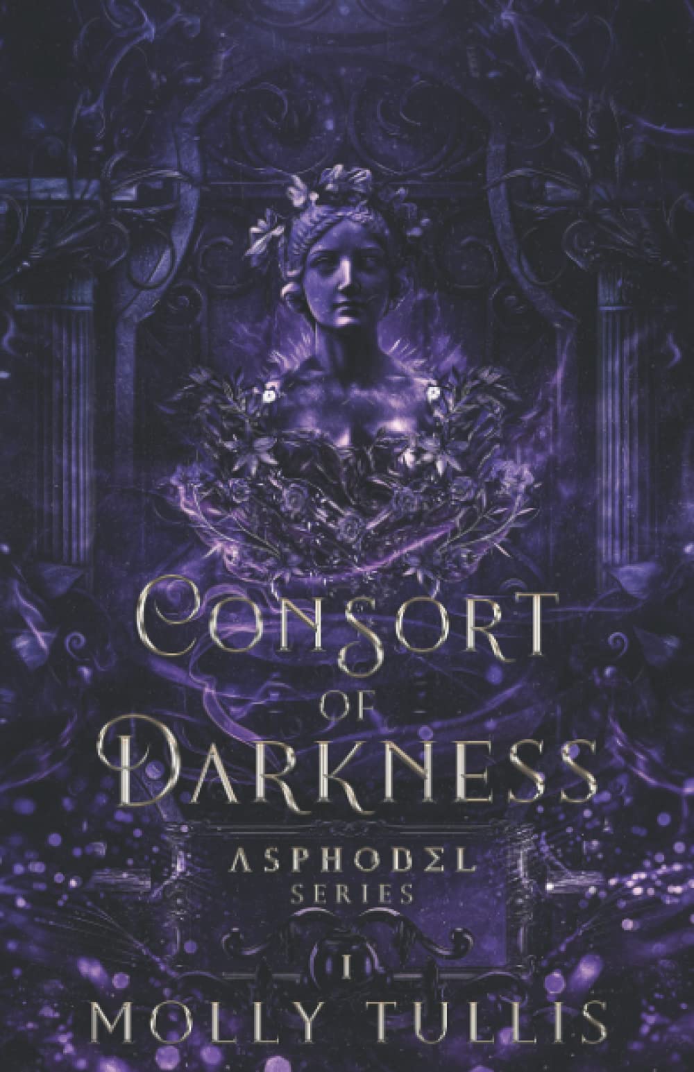 Cover of Consort of Darkness