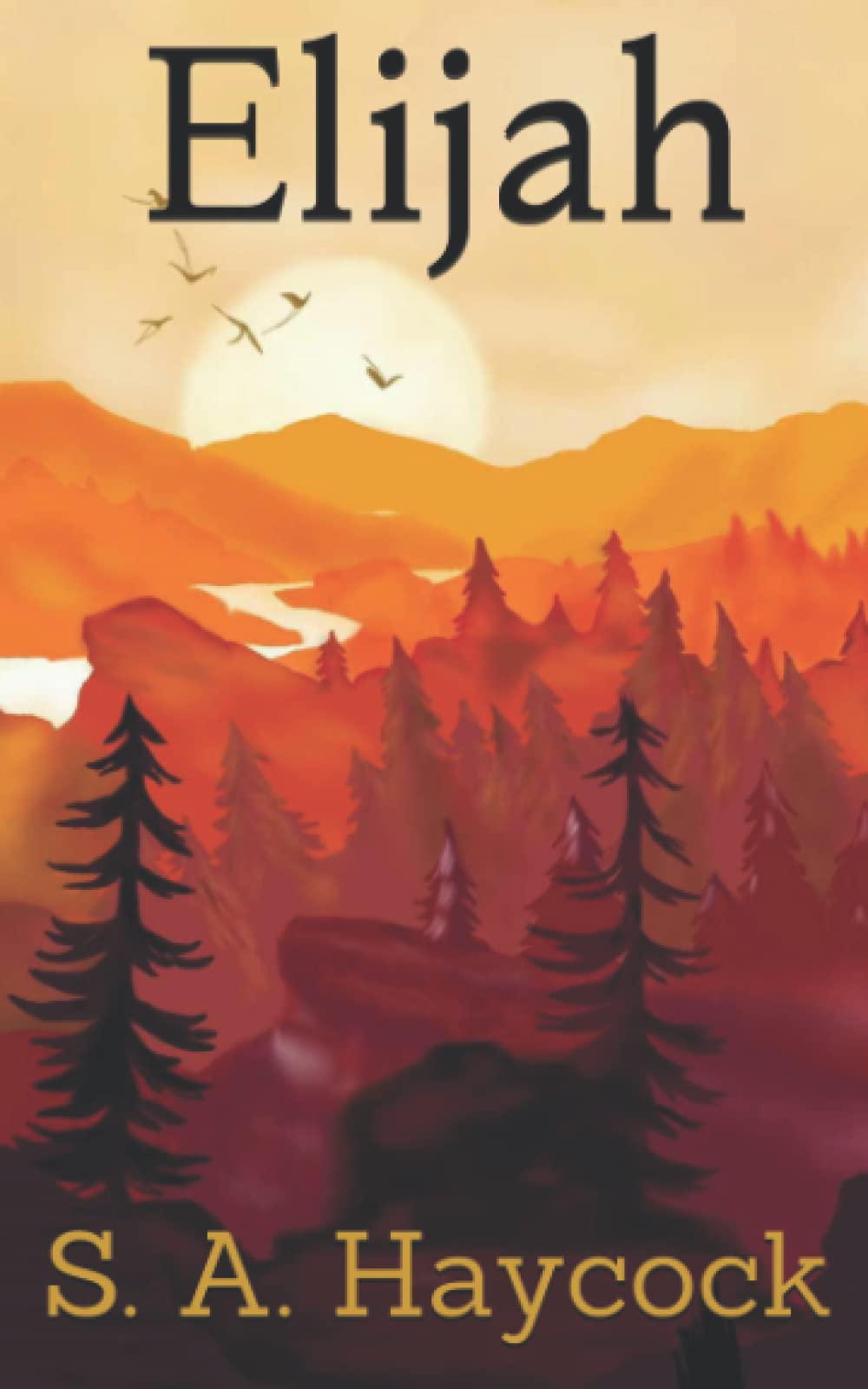 Book Cover