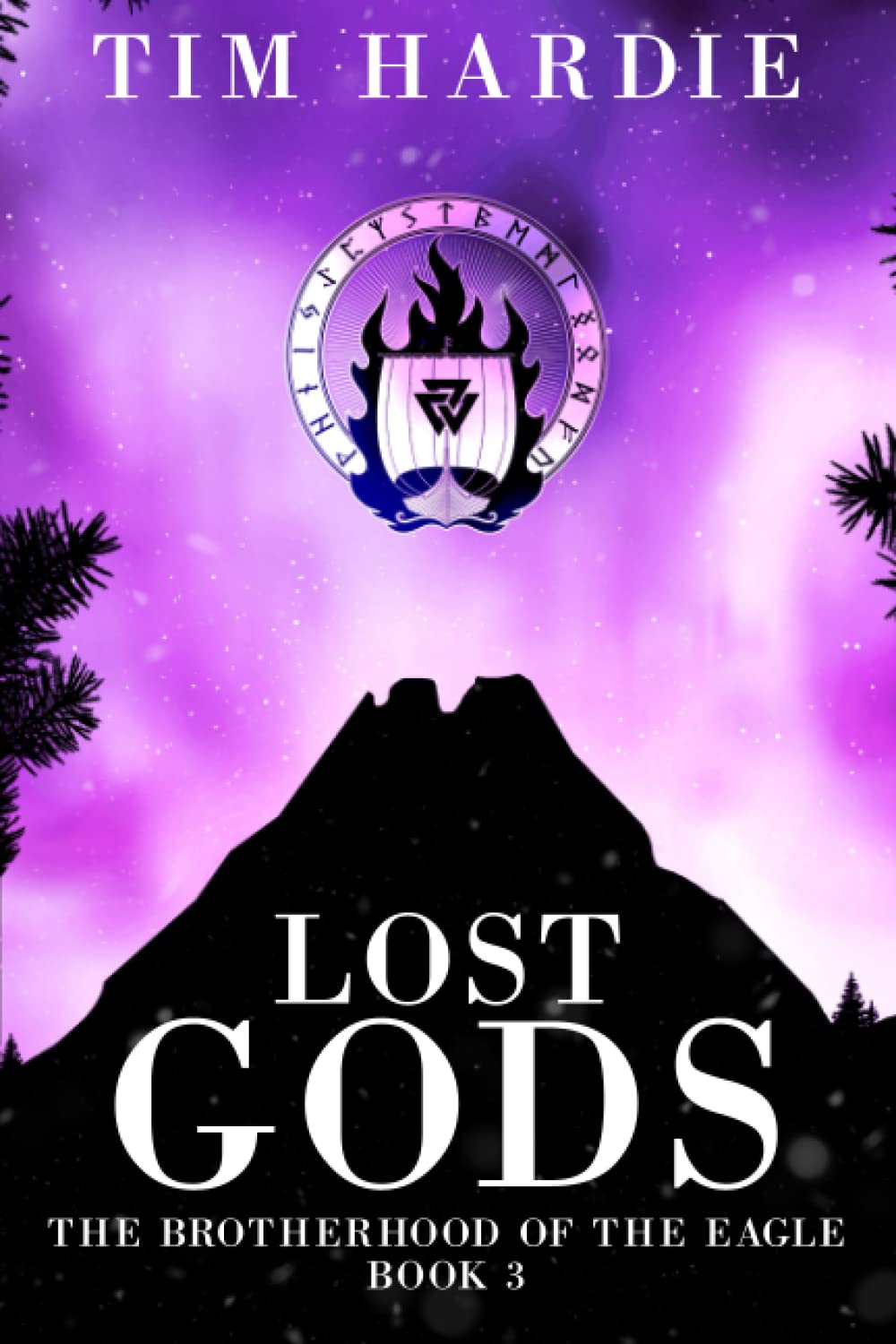 Cover of Lost Gods