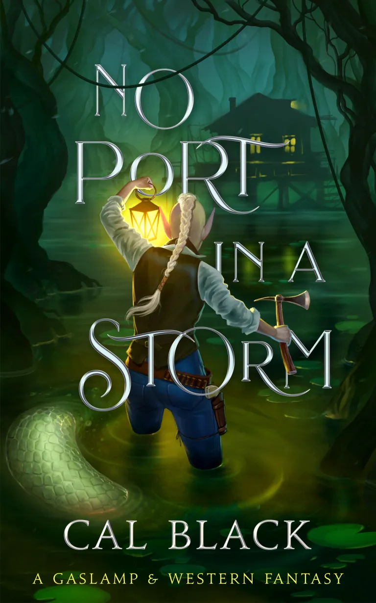 Cover of No Port in a Storm