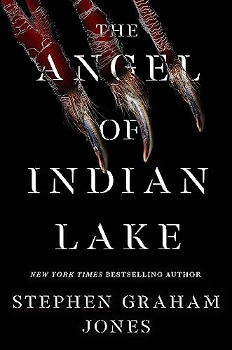 Cover of The Angel of Indian Lake