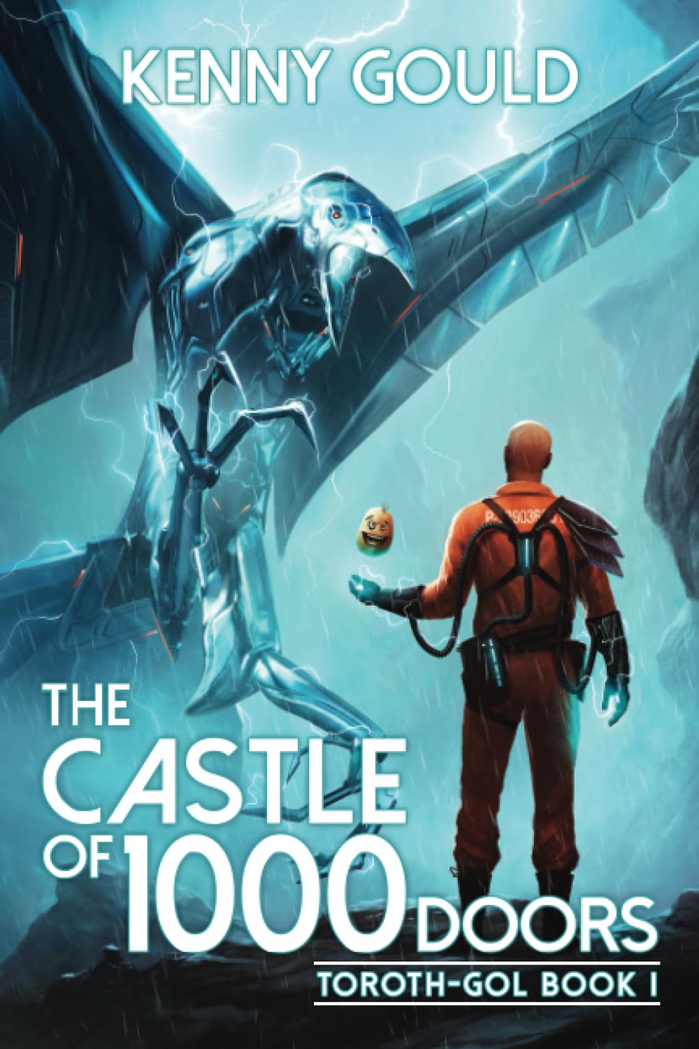 Book Cover