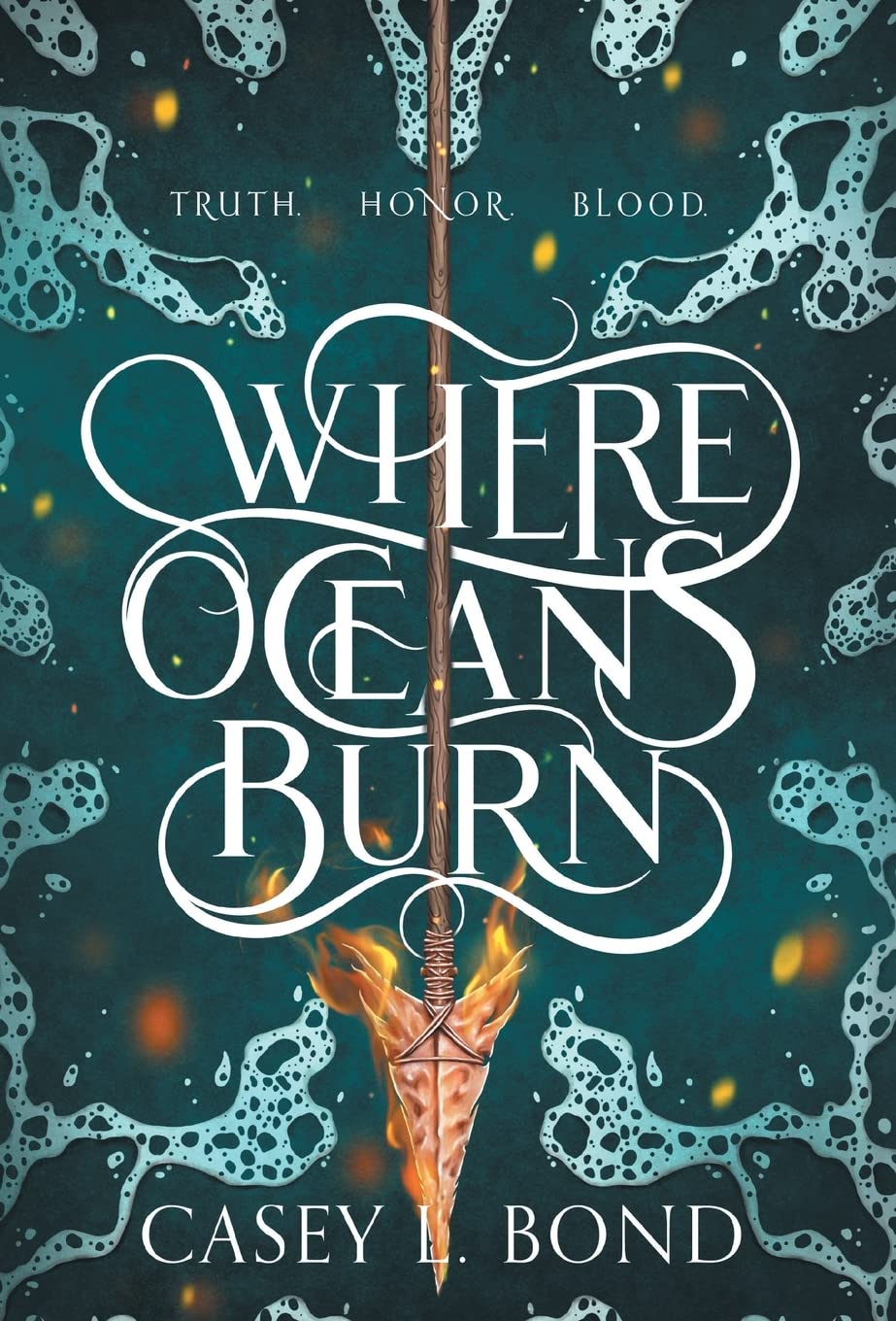 Cover of Where Oceans Burn